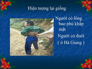 Hiện tượng lại giống  Người có lông bao phủ khắp mặt Người có đuôi  ( ở Hà Giang ) 