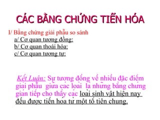I/ Bằng chứng giải phẫu so sánh a/ Cơ quan tương đồng: b/ Cơ quan thoái hóa:   c/ Cơ quan tương tự: CÁC BẰNG CHỨNG TIẾN HÓA   Kết Luận:  Sự tương đồng về nhiều đặc điểm giải phẫu  giữa các loài  là những bằng chứng gián tiếp cho thấy các  loài sinh vật hiện nay  đều được tiến hóa từ một tổ tiên chung. 