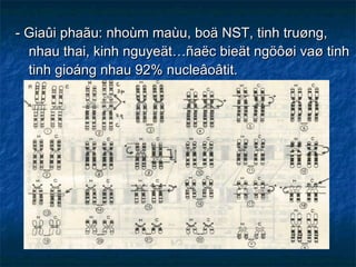 - Giaûi phaãu: nhoùm maùu, boä NST, tinh truøng, nhau thai, kinh nguyeät…ñaëc bieät ngöôøi vaø tinh tinh gioáng nhau 92% nucleâoâtit. 