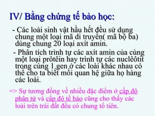 IV/ Bằng chứng tế bào học: - Các loài sinh vật hầu hết đều sử dụng chung một loại mã di truyền( mã bộ ba)  dùng chung 20 loại axít amin. - Phân tích trình tự các axít amin của cùng một loại prôtêin hay trình tự các nuclêôtit trong cùng 1 gen ở các loài khác nhau có thể cho ta biết mối quan hệ giữa họ hàng các loài. => Sự tương đồng về nhiều đặc điểm ở  cấp độ phân tử  và  cấp độ tế bào  cũng cho thấy các loài trên trái đất đều có chung tổ tiên. 