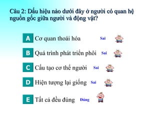 Câu 2: Dấu hiệu nào dưới đây ở người có quan hệ nguồn gốc giữa người và động vật? Cấu tạo cơ thể người Cơ quan thoái hóa Quá trình phát triển phôi Hiện tượng lại giống Tất cả đều đúng A B C D E Sai  Sai  Sai  Sai  Đúng 