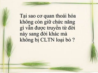 Tại sao cơ quan thoái hóa không còn giữ chức năng gì vẫn được truyền từ đời này sang đời khác mà không bị CLTN loại bỏ ? 
