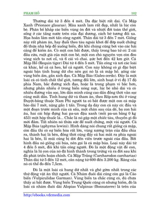 PHAÅM HÖÍ                                                                    102

        Thûúâng daâi tûâ 3 àïën 4 meát. Da àùåc biïåt rêët dai. Caá Mêåp
Xanh (Prionace glaucus). Maâu xanh lam rêët àeåp, nhêët laâ luác coân
beá. Phên böë khùæp caác biïín vuâng ön àúái vaâ nhiïåt àúái toaân thïë giúái,
söëng úã caác têìng nûúác trïn cuãa àaåi dûúng, caách búâ tûúng àöëi xa.
Hoåa hoùçn lùæm múái têën cöng ngûúâi. Thên daâi tûâ 3 àïën 7 meát. Giöëng
naây rêët phaâm ùn, hay àuöíi theo taâu ngoaâi khúi àïí àúáp nuöët chûãng
àöì thûâa nhaâ bïëp àöí xuöëng biïín, àöi khi chuáng cuäng búi vaâo caác haãi
caãng àïí kiïëm ùn. Coá möåt con bùæt àûúåc, thêëy trong bao tûã coá: 2 caái
àêìu cûâu, ruöåt giaâ cuãa möåt con bï, möåt con choá nguyïn veån coân àeo
voâng xñch to núi cöí, vaâ 6 caái voã chai. aåûc búi àïën 42 km giúâ. Caá
                                                   á
Mêåp Höí (Requin tiger) Daâi tûâ 4 àïën 5 meát. Têën cöng vaâ xúi caác loaâi
caá khaác, kïí caã caá heo, kïí caã ngûúâi. Con naây khöng coá gò àùåc biïåt
ngoaâi baãn tñnh hung dûä cho nïn goåi noá laâ caá mêåp höí. aåöng caác ë
vuâng biïín êëm, gêìn xñch àaåo. Caá Mêåp Baáo (Galeo cerdo). Àêy laâ möåt
loaâi caá coá tñnh chêët thïë giúái, tûúng àöëi lúán, sinh hoaåt úã vô àöå 17 àöå
phña Nam, bùæc àûúâng xñch àaåo, hoùåc laâ trong phaåm vi bùæc hún,
nhûng phêìn nhiïìu úã trong biïín noáng nûåc, luác beá nhoã daâi vaâ coá
nhiïìu àûúâng vùçn soåc, lúán dêìn mònh cuäng cao dêìn àöìng thúâi vùçn soåc
cuäng mêët dêìn. Tñnh hung dûä vaâ tham ùn, theo Röëp-xún thò úã vuâng
Àuyïåt-bùng thuöåc Nam Phi ngûúâi ta coá bùæt àûúåc möåt con caá mêåp
baáo daâi 7 meát, nùång gêìn 1 têën. Trong daå daây con caá naây coá: àêìu vaâ
möåt àoaån trûúác mònh cuãa caá sêëu, möåt chên sau cuãa dï, ba con haãi
êu, hai caái höåp àûång hai pa-un àêåu xanh (möîi pa-un bùçng 0 kg
453) möåt höåp thuöëc laá... Chùæc laâ noá gùåp möåt chiïëc taâu, thuyïìn gò àoá
múái àùæm. Têët nhiïn noá thûâa sûác àïí nuöët chûãng, möåt vaâi ngûúâi. Caá
Mêåp Buáa (aåphyrna lewini). Hònh daáng noái chung rêët giöëng caá mêåp,
coân àêìu thò coá sûå biïën hoáa rêët lúán, vuâng xûúng traán cuãa àêìu chòa
ra, thaânh hai laá bïn, àöìng thúâi cuäng àêíy caã hai mùæt ra phña ngoaâi
hai laá bïn, löî muäi cuäng bõ dúâi àïën viïìn trûúác ngoaâi cuãa àêìu. Búãi
hònh àêìu noá giöëng caái buáa, nïn goåi laâ caá mêåp buáa. Loaåi naây daâi tûâ
4 àïën 5 meát, àöi khi têën cöng ngûúâi. Àoá laâ möåt àöång vêåt àeã con,
nghôa laâ luä con cuãa noá àaä hònh thaânh trong trûáng vaâ ra àúâi sau khi
àaä phaát triïín hoaân chónh. Caá Mêåp Trùæng (Carcharodon carcharias)
Thên daâi tûâ 5 àïën 12 meát, cên nùång tûâ 600 àïën 3.200 kg. Rùng cuãa
noá coá thïí ào àïën 7,5cm.
       Àoá laâ möåt loaâi caá hung dûä nhêët vaâ ghï gúám nhêët trong caác
thûá àöång vêåt ùn thõt ngûúâi. Caá Nhaám àuöi daâi cuäng coân goåi laâ Caáo
biïín (Vulpiculidae Garman). Vuâng biïín ta chùæc cuäng coá, duâ chûa
thêëy ai bùæt àûúåc. Vuâng biïín Trung Quöëc cuäng coá nhûng hiïëm, àoá laâ
loaâi caá nhaám àuöi daâi Alopias Vulpinus (Bonnaterre) laá trïn cuãa

http://ebooks.vdcmedia.com
 