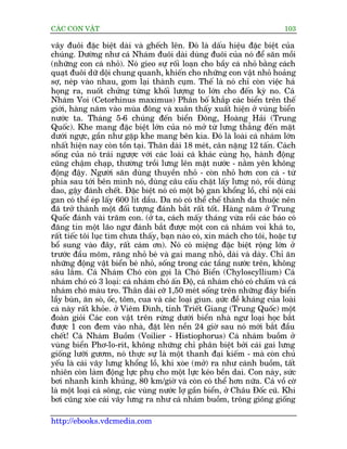 CAÁC CON VÊÅT                                                               103

vêy àuöi àùåc biïåt daâi vaâ ghïëch lïn. Àoá laâ dêëu hiïåu àùåc biïåt cuãa
chuáng. Dûúâng nhû caá Nhaám àuöi daâi duâng àuöi cuãa noá àïí sùn möìi
(nhûäng con caá nhoã). Noá gieo sûå röëi loaån cho bêìy caá nhoã bùçng caách
quaåt àuöi dûä döåi chung quanh, khiïën cho nhûäng con vêåt nhoã hoaãng
súå, neáp vaâo nhau, gom laåi thaânh cuåm. Thïë laâ noá chó coân viïåc haá
hoång ra, nuöët chûãng tûâng khöëi lûúång to lúán cho àïën kyâ no. Caá
Nhaám Voi (Cetorhinus maximus) Phên böë khùæp caác biïín trïn thïë
giúái, haâng nùm vaâo muâa àöng vaâ xuên thêëy xuêët hiïån úã vuâng biïín
nûúác ta. Thaáng 5-6 chuáng àïën biïín Àöng, Hoaâng Haãi (Trung
Quöëc). Khe mang àùåc biïåt lúán cuãa noá múã tûâ lûng thùèng àïën mùåt
dûúái ngûåc, gêìn nhû gùåp khe mang bïn kia. Àoá laâ loaâi caá nhaám lúán
nhêët hiïån nay coân töìn taåi. Thên daâi 18 meát, cên nùång 12 têën. Caách
söëng cuãa noá traái ngûúåc vúái caác loaâi caá khaác cuâng hoå, haânh àöång
cuäng chêåm chaåp, thûúâng tröìi lûng lïn mùåt nûúác - nùçm yïn khöng
àöång àêåy. Ngûúâi sùn duâng thuyïìn nhoã - coân nhoã hún con caá - tûâ
phña sau túái bïn mònh noá, duâng cêu cêëu chùåt lêëy lûng noá, röìi duâng
dao, gêåy àaánh chïët. Àùåc biïåt noá coá möåt böå gan khöíng löì, chó nöåi caái
gan coá thïí eáp lêëy 600 lñt dêìu. Da noá coá thïí chïë thaânh da thuöåc nïn
àaä trúã thaânh möåt àöëi tûúång àaánh bùæt rêët töët. Haâng nùm úã Trung
Quöëc àaánh vaâi trùm con. (úã ta, caách mêëy thaáng vûâa röìi caác baáo coá
àùng tin möåt laäo ngû àaánh bùæt àûúåc möåt con caá nhaám voi khaá to,
rêët tiïëc töi luåc tòm chûa thêëy, baån naâo coá, xin maách cho töi, hoùåc tûå
böí sung vaâo àêy, rêët caám ún). Noá coá miïång àùåc biïåt röång lúán úã
trûúác àêìu moäm, rùng nhoã beá vaâ gai mang nhoã, daâi vaâ daây. Chó ùn
nhûäng àöång vêåt biïín beá nhoã, söëng trong caác têìng nûúác trïn, khöng
sêu lùæm. Caá Nhaám Choá coân goåi laâ Choá Biïín (Chyloscyllium) Caá
nhaám choá coá 3 loaåi: caá nhaám choá êën Àöå, caá nhaám choá coá chêëm vaâ caá
nhaám choá maâu tro. Thên daâi cúä 1,50 meát söëng trïn nhûäng àaáy biïín
lêìy buân, ùn soâ, öëc, töm, cua vaâ caác loaåi giun. aåûc àïì khaáng cuãa loaâi
                                                          á
caá naây rêët khoãe. úã Viïm Àònh, tónh Triïët Giang (Trung Quöëc) möåt
àoaân gioãi Caác con vêåt trïn rûâng dûúái biïín nhaâ ngû loaåi hoåc bùæt
àûúåc 1 con àem vaâo nhaâ, àùåt lïn nïìn 24 giúâ sau noá múái bùæt àêìu
chïët! Caá Nhaám Buöìm (Voilier - Histiophorus) Caá nhaám buöìm úã
vuâng biïín Phú-lo-rñt, khöng nhûäng chó phên biïåt búãi caái gai lûng
giöëng lûúäi gûúm, noá thûåc sûå laâ möåt thanh àaåi kiïëm - maâ coân chuã
yïëu laâ caái vêy lûng khöíng löì, khi xoâe (múã) ra nhû caánh buöìm, têët
nhiïn coân laâm àöång lûåc phuå cho möåt lûåc keáo bïìn dai. Con naây, sûác
búi nhanh kinh khuãng, 80 km/giúâ vaâ coân coá thïí hún nûäa. Caá vöì cúâ
laâ möåt loaåi caá söng, caác vuâng nûúác lúå gêìn biïín, úã Chêu Àöëc cuä. Khi
búi cuäng xoâe caái vêy lûng ra nhû caá nhaám buöìm, tröng giöng giöëng

http://ebooks.vdcmedia.com
 