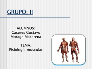 GRUPO: II

    ALUMNOS:
 Cáceres Gustavo
 Moraga Macarena

       TEMA:
Fisiología muscular
 
