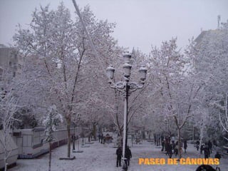 PASEO DE CÁNOVAS 