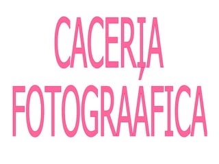 CACERIA  FOTOGRAÁFICA 