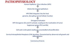 PATHOPHYSIOLOGY
Human Papilloma Virus infection (HPV)
Infects the Cervical epithelium
HPV DNA integrates into the host
genome, disrupting normal Cellular function
Oncogene Activation
HPV Oncogenes (E6 and E7) activate, Leading to the inactivation of tumor
Suppressor genes (P53 and Rb)
Cell cycle is disrupted ,leading to uncontrolled cell proliferation
Cervical Intraepithelial Neoplasia (CIN) develops, Characterized by abnormal cell growth and
differentiation
Carcinoma of Cervix
 