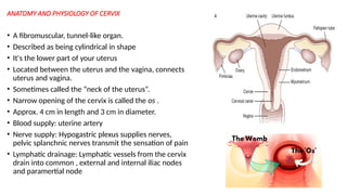 ANATOMY AND PHYSIOLOGY OF CERVIX
• A fibromuscular, tunnel-like organ.
• Described as being cylindrical in shape
• It's the lower part of your uterus
• Located between the uterus and the vagina, connects
uterus and vagina.
• Sometimes called the “neck of the uterus”.
• Narrow opening of the cervix is called the os .
• Approx. 4 cm in length and 3 cm in diameter.
• Blood supply: uterine artery
• Nerve supply: Hypogastric plexus supplies nerves,
pelvic splanchnic nerves transmit the sensation of pain
• Lymphatic drainage: Lymphatic vessels from the cervix
drain into common , external and internal iliac nodes
and paramertial node
 