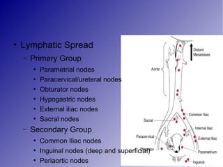 ●
Lymphatic Spread
– Primary Group
●
Parametrial nodes
●
Paracervical/ureteral nodes
●
Obturator nodes
●
Hypogastric nodes
●
External iliac nodes
●
Sacral nodes
– Secondary Group
●
Common Iliac nodes
●
Inguinal nodes (deep and superficial)
●
Periaortic nodes
 