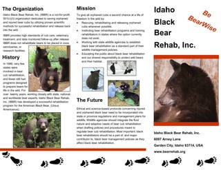 Idaho
Black
Bear
Rehab, Inc.
Idaho Black Bear Rehab, Inc.
6097 Arney Lane
Garden City, Idaho 83714, USA
www.bearrehab.org
Mission
To give all orphaned cubs a second chance at a life of
freedom in the wild by:
• Rescuing, rehabilitating and releasing orphaned
cubs whenever possible.
• Instituting bear rehabilitation programs and training
rehabilitators in states where the option currently
does not exist.
• Working with state wildlife agencies to establish
black bear rehabilitation as a standard part of their
wildlife management policies.
• Educating the public about black bear rehabilitation
and our shared responsibility to protect wild bears
and their habitat.
Ethical and science-based protocols concerning injured
and orphaned black bear need to be incorporated into
state or province regulations and management plans for
wildlife. Wildlife agencies should integrate the fluid
nature and adaptive needs of bear cub rehabilitation
when drafting policies and procedures meant to
regulate bear cub rehabilitation. Most important, black
bear rehabilitators should be a part of, and major
contributor to, black bear management policies as they
affect black bear rehabilitation.
The Future
The Organization
Idaho Black Bear Rehab, Inc. (IBBR) is a not-for-profit
501(c)(3) organization dedicated to saving orphaned
and injured bear cubs by utilizing proven scientific
methods for successful rehabilitation and release back
into the wild.
IBBR provides high standards of cub care, veterinary
treatment, and data monitored follow-up after release.
IBBR does not rehabilitate bears to be placed in zoos,
sanctuaries, or
research facilities.
In 1989, very few
states were
involved in bear
cub rehabilitation,
and fewer still had
programs designed
to prepare bears for
life in the wild. For
over twenty years, working closely with state, national,
and worldwide bear experts, Idaho Black Bear Rehab,
Inc. (IBBR) has developed a successful rehabilitation
program for the American Black Bear. (Ursus
Americanus).
History
BeBearWise
 
