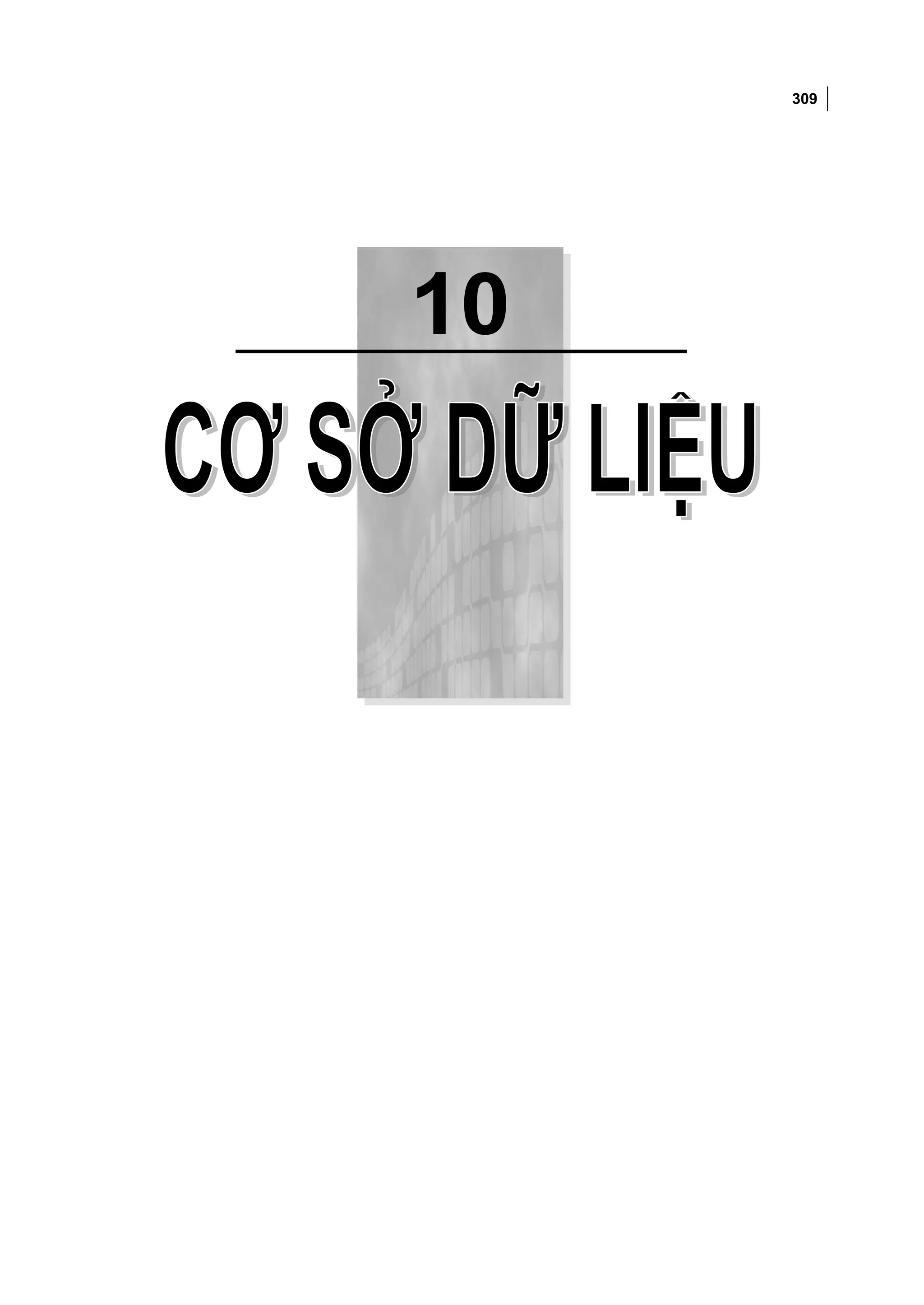 309



Chương 10: CƠ SỞ DỮ LIỆU




        10
 