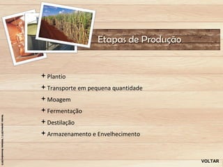 Etapas de Produção


Plantio
Transporte em pequena quantidade
Moagem
Fermentação
Destilação
Armazenamento e Envelhecimento



                                       VOLTAR
 