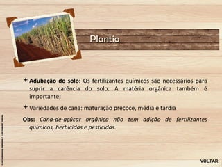 Plantio



Adubação do solo: Os fertilizantes químicos são necessários para
 suprir a carência do solo. A matéria orgânica também é
 importante;
Variedades de cana: maturação precoce, média e tardia
Obs: Cana-de-açúcar orgânica não tem adição de fertilizantes
  químicos, herbicidas e pesticidas.




                                                              VOLTAR
 