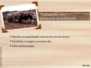 Transporte em
                          pequena quantidade



Mantém as propriedades naturais da cana-de-açúcar;
Possibilita a moagem no mesmo dia;
Evita contaminações.




                                                      VOLTAR
 