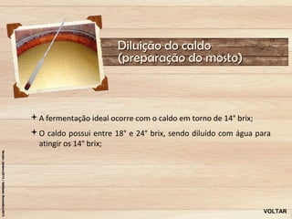 Diluição do caldo
                       (preparação do mosto)



A fermentação ideal ocorre com o caldo em torno de 14° brix;
O caldo possui entre 18° e 24° brix, sendo diluído com água para
 atingir os 14° brix;




                                                                VOLTAR
 
