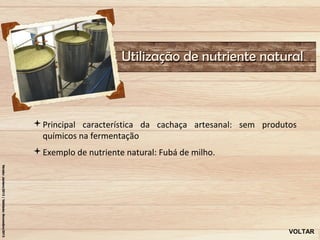 Utilização de nutriente natural



Principal característica da cachaça artesanal: sem produtos
 químicos na fermentação
Exemplo de nutriente natural: Fubá de milho.




                                                          VOLTAR
 