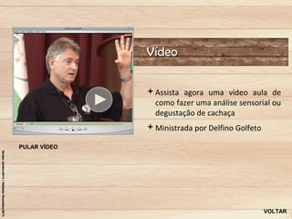 Vídeo

              Assista agora uma vídeo aula de
               como fazer uma análise sensorial ou
               degustação de cachaça
              Ministrada por Delfino Golfeto

PULAR VÍDEO




                                                VOLTAR
 