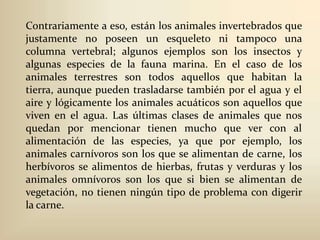 Contrariamente a eso, están los animales invertebrados que justamente no poseen un esqueleto ni tampoco una columna vertebral; algunos ejemplos son los insectos y algunas especies de la fauna marina. En el caso de los animales terrestres son todos aquellos que habitan la tierra, aunque pueden trasladarse también por el agua y el aire y lógicamente los animales acuáticos son aquellos que viven en el agua. Las últimas clases de animales que nos quedan por mencionar tienen mucho que ver con al alimentación de las especies, ya que por ejemplo, los animales carnívoros son los que se alimentan de carne, los herbívoros se alimentos de hierbas, frutas y verduras y los animales omnívoros son los que si bien se alimentan de vegetación, no tienen ningún tipo de problema con digerir la carne.