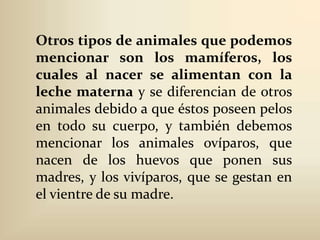 Otros tipos de animales que podemos mencionar son los mamíferos, los cuales al nacer se alimentan con la leche materna y se diferencian de otros animales debido a que éstos poseen pelos en todo su cuerpo, y también debemos mencionar los animales ovíparos, que nacen de los huevos que ponen sus madres, y los vivíparos, que se gestan en el vientre de su madre.