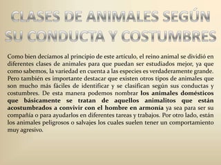 CLASES DE ANIMALES SEGÚN SU CONDUCTA Y COSTUMBRESComo bien decíamos al principio de este artículo, el reino animal se dividió en diferentes clases de animales para que puedan ser estudiados mejor, ya que como sabemos, la variedad en cuenta a las especies es verdaderamente grande. Pero también es importante destacar que existen otros tipos de animales que son mucho más fáciles de identificar y se clasifican según sus conductas y costumbres. De esta manera podemos nombrar los animales domésticos que básicamente se tratan de aquellos animalitos que están acostumbrados a convivir con el hombre en armonía ya sea para ser su compañía o para ayudarlos en diferentes tareas y trabajos. Por otro lado, están los animales peligrosos o salvajes los cuales suelen tener un comportamiento muy agresivo. 