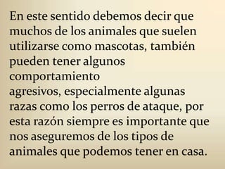En este sentido debemos decir que muchos de los animales que suelen utilizarse como mascotas, también pueden tener algunos comportamiento agresivos, especialmente algunas razas como los perros de ataque, por esta razón siempre es importante que nos aseguremos de los tipos de animales que podemos tener en casa. 