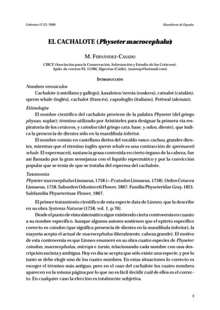 Galemys 12 (2), 2000                                                             Mamíferos de España




              EL CACHALOTE (Physeter macrocephalus
                                                 )

                                   M. FERNÁNDEZ-CASADO
           CIRCE (Asociación para la Conservación, Información y Estudio de los Cetáceos).
                Apdo. de correos 93, 11280, Algeciras (Cádiz). (marsop@hotmail.com)

                                          INTRODUCCIÓN
Nombres vernáculos
    Cachalote (castellano y gallego), kaxalotea/zeroia (euskera), catxalot (catalán),
sperm whale (inglés), cachalot (francés), capodoglio (italiano), Pottwal (alemán).
Etimología
      El nombre científico del cachalote proviene de la palabra Physeter (del griego
physao, soplar); término utilizado por Aristóteles para designar la primera vía res-
piratoria de los cetáceos, y catodon (del griego cata, base, y odon, diente), que indi-
ca la presencia de dientes sólo en la mandíbula inferior.
      El nombre común en castellano deriva del vocablo vasco cachau, grandes dien-
tes, mientras que el término inglés sperm whale es una contracción de spermaceti
whale. El espermaceti, sustancia grasa contenida en cierto órgano de la cabeza, fue
así llamado por la gran semejanza con el líquido espermático y por la convicción
popular que se tenía de que se trataba del esperma del cachalote.
Taxonomía
Physeter macrocephalus Linnaeus, 1758 (= P catodon Linnaeus, 1758). Orden Cetacea
                                          .
Linnaeus, 1758. Suborden Odontoceti Flower, 1867. Familia Physeteridae Gray, 1821.
Subfamilia Physeterinae Flower, 1867.
     El primer tratamiento científico de esta especie data de Linneo, que la describe
en su obra Systema Naturae (1758, vol. 1, p.76).
     Desde el punto de vista sistemático sigue existiendo cierta controversia en cuanto
a su nombre específico. Aunque algunos autores sostienen que el epíteto específico
correcto es catodon (que significa presencia de dientes en la mandíbula inferior), la
mayoría acepta el actual de macrocephalus (literalmente, cabeza grande). El motivo
de esta controversia es que Linneo enumeró en su obra cuatro especies de Physeter:
catodon, macrocephalus, microps e tursio, relacionando cada nombre con una des-
cripción sucinta y ambigua. Hoy en día se acepta que sólo existe una especie, y por lo
tanto se debe elegir uno de los cuatro nombres. En estas situaciones lo correcto es
escoger el término más antiguo, pero en el caso del cachalote los cuatro nombres
aparecen en la misma página por lo que no es fácil decidir cuál de ellos es el correc-
to. En cualquier caso la elección es totalmente subjetiva.


                                                                                                   3
 