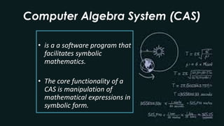 Cas Math Instrumentation in Teaching Mathematics | PDF