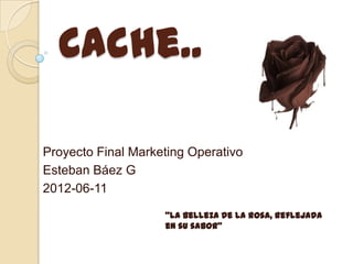 Cache..

Proyecto Final Marketing Operativo
Esteban Báez G
2012-06-11

                    “La belleza de la rosa, reflejada
                    en su sabor”
 