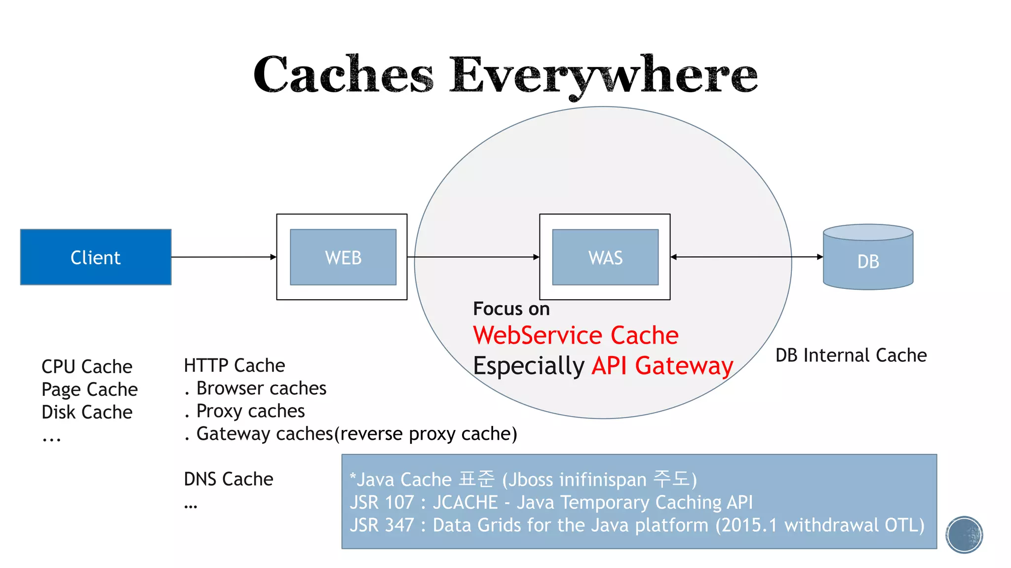 DBWASClient WEB
HTTP Cache
. Browser caches
. Proxy caches
. Gateway caches(reverse proxy cache)
DNS Cache
…
CPU Cache
Page Cache
Disk Cache
...
DB Internal Cache
Focus on
WebService Cache
Especially API Gateway
*Java Cache 표준 (Jboss inifinispan 주도)
JSR 107 : JCACHE - Java Temporary Caching API
JSR 347 : Data Grids for the Java platform (2015.1 withdrawal OTL)
 