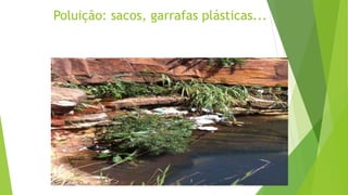 Poluição: sacos, garrafas plásticas...
 