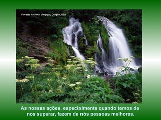 Floresta nacional Umpqua, Oregon, USA As nossas ações, especialmente quando temos de nos superar, fazem de nós pessoas melhores. 