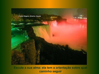 Chutes Niagara, Ontario, Canada Escute a sua alma: ela tem a orientação sobre qual caminho seguir . 