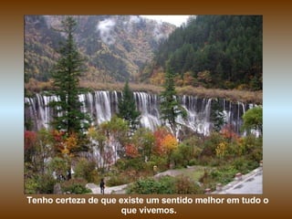 Tenho certeza de que existe um sentido melhor em tudo o  que vivemos. 