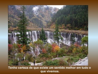 Tenho certeza de que existe um sentido melhor em tudo o
que vivemos.
 