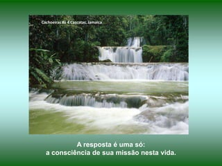 Cachoeiras As 4 Cascatas, Jamaica




           A resposta é uma só:
  a consciência de sua missão nesta vida.
 