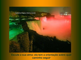 Cachoeiras Niagara, Ontario, Canada




Escute a sua alma: ela tem a orientação sobre qual
                 caminho seguir.
 