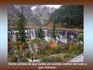 Tenho certeza de que existe um sentido melhor em tudo o
                     que vivemos.
 