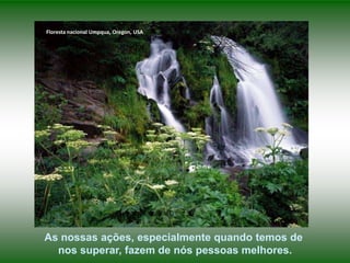 Floresta nacional Umpqua, Oregon, USA




As nossas ações, especialmente quando temos de
  nos superar, fazem de nós pessoas melhores.
 