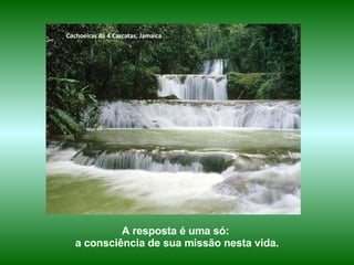 Cachoeiras As 4 Cascatas, Jamaica




            A resposta é uma só:
   a consciência de sua missão nesta vida.
 