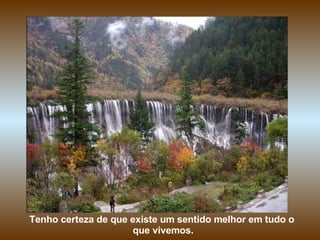 Tenho certeza de que existe um sentido melhor em tudo o
                     que vivemos.
 