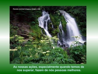 Floresta nacional Umpqua, Oregon, USA




As nossas ações, especialmente quando temos de
  nos superar, fazem de nós pessoas melhores.
 