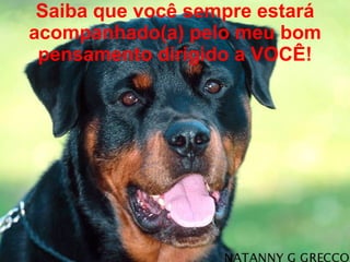 Saiba que você sempre estará acompanhado(a) pelo meu bom pensamento dirigido a VOCÊ! 