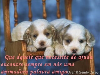 Que aquele que necessite de ajuda
encontre sempre em nós uma
animadora palavra amiga.
 