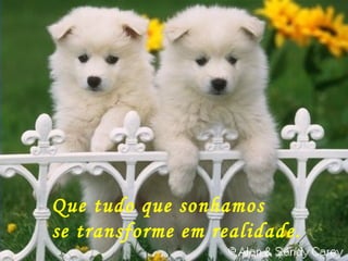 Que tudo que sonhamos
se transforme em realidade.
 