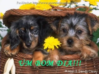 UM BOM DIA!!!
FacilitadorFacilitador:: http://www.powermensagens.comhttp://www.powermensagens.com
 