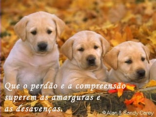 Que o perdão e a compreensão  superem as amarguras e  as desavenças. 