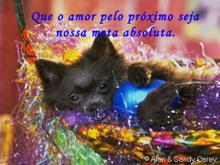 Que o amor pelo próximo seja nossa meta absoluta. 