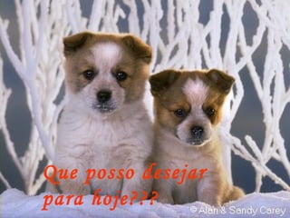 Que posso desejar  para hoje??? 