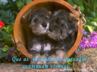 Que as  verdadeiras amizades continuem eternas... 